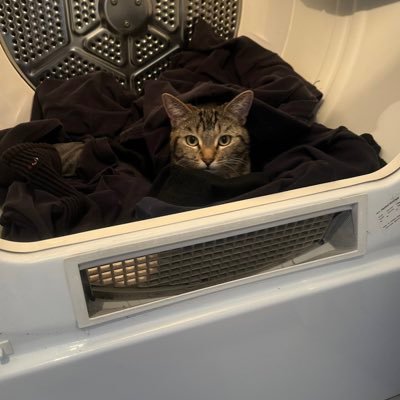 aylwin_guy's profile picture. 