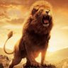 ankitdaluja's profile picture. Love each other, care about each other and be charitable !! United we stand, divided we fall.