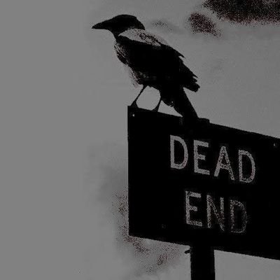 moonbeverage444's profile picture. All caught up in the eyes of the storm