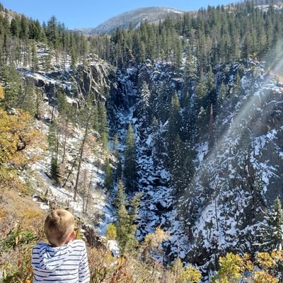 wheelieram8's profile picture. 