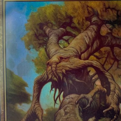 Doranthesiege's profile picture. 