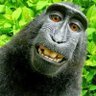 HubballMatt's profile picture. Retired Metrology and Project Engineer. Sharing a priceless treasure trove of technical analysis on X. Nothing posted here is  investment advice.