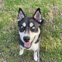 Jody Carpenter - @JodyCar50872124 - Twitter