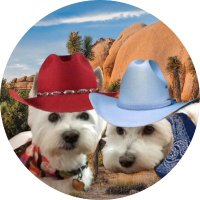 Angel Frisbee aka Goobie 2/9/24 RIP (@goobie2014) 's Twitter Profile