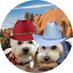 Angel Frisbee aka Goobie 2/9/24 RIP (@goobie2014) Twitter profile photo Angel Frisbee aka Goobie 2/9/24 RIP (@goobie2014) Twitter profile photo