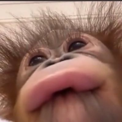 HelloImSwift's profile picture. Hi