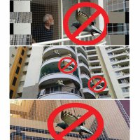 Pigeon safety nets Birds safety nets (@birdsnets) 's Twitter Profile