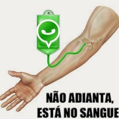 PaocomG's profile picture. Quem leu é gay