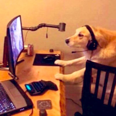 Options Trader 📈I Scalps | Daytrades | Swings I Market Assassin 🥷|
