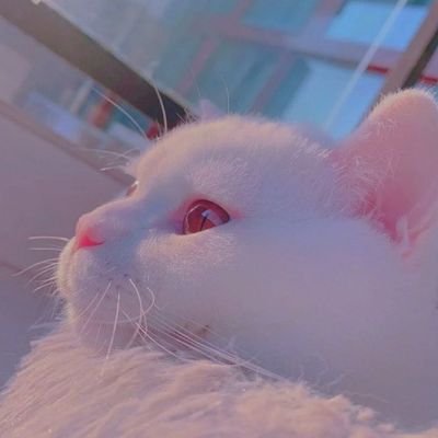 Sage✨さんのプロフィール画像