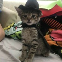 Anu (@darlinqanu) 's Twitter Profile