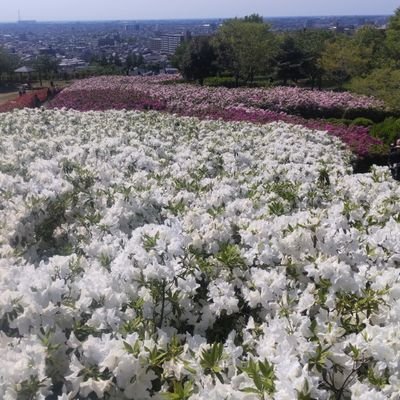 投資の情報交換
美味しい物
ランニング
などなど興味があり最近はじめました。
皆さんと交流出来たらと思いますのでよろしくお願いします！