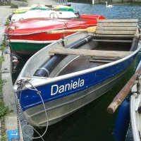 Daniela Staebe (@danielastaebe) Twitter profile photo