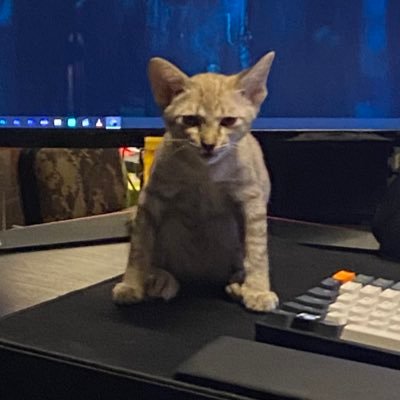 TitleYeeto's profile picture. 