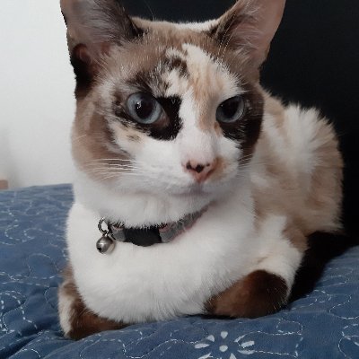 FebeloLuis's profile picture. „La izquierda es libertad, igualdad y fraternidad.“