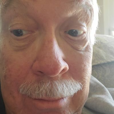 gumbo711's profile picture. Old Lib, lover of cats and doo-wop music.