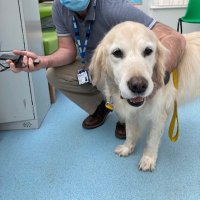 AdmiralNurses@SWFT (@nursesadmiral) 's Twitter Profile