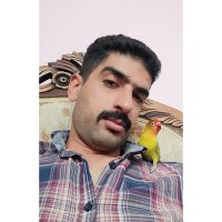 Hamed (@hamed_hshii) 's Twitter Profile