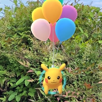 TL43 黄色チーム　下関⇄小倉でゆるくポケ活してます。交換出来る方よろしくお願いします🥺