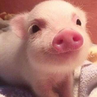 HellenJ40132698's profile picture. Come on！🚀🚀🚀🚀🚀🚀🚀🚀🚀 | Construction Engineer| ⛷🏓🏊‍♀️🤿|💎👆🏻🦧 | Foodie| Dreamer|Trader|