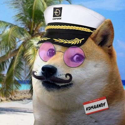 We are Dogecoin, the accidental crypto-
movement that makes people smile.

D7HppoizgBLRU3LAMJKVk4Hm7ugZtwpsoh