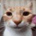 kipto 🍉 (@kipbandicoot) Twitter profile photo kipto 🍉 (@kipbandicoot) Twitter profile photo