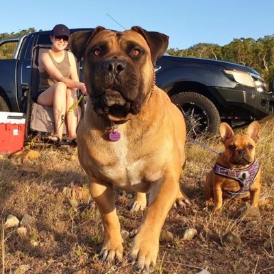 ShakaBobbie's profile picture. 