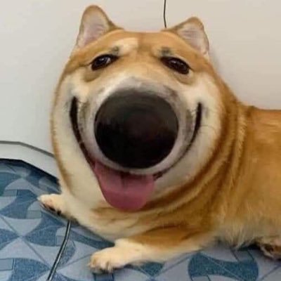 boommyeieiza's profile picture. 