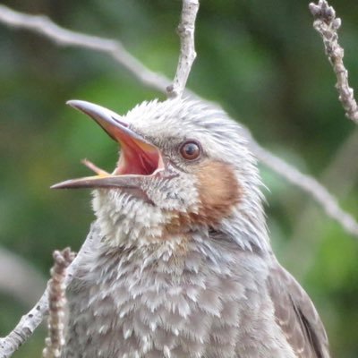 生き物と触れ合っている時間が至福の時。 フルマラソンを自分のペースで穏やかな気持ちで走るのが好きです。