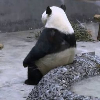 yasu8381's profile picture. 