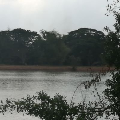 WaritsaraChai's profile picture. 