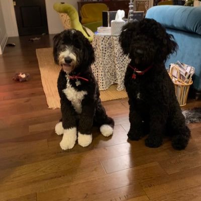 oldsailor's profile picture. 