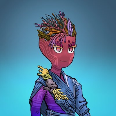 Kaiporah's profile picture. Co-founder @ReFiHub - climate capital markets on Solana. Full time builder, part time surf kook