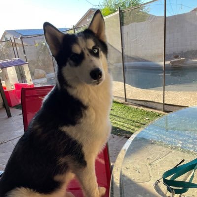 Barbara58648157's profile picture. Free thinker who abhors ignorance. I watch @MeidasTouch @dollemore @Maddow @ReidOut @palmerreport @tyt! #VoteBlueIn2024 #BlueCrew🏜🌈🟦🌊Ally🚫DM💙