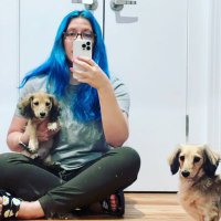 Jenn Creighton (@gurlcode) 's Twitter Profile