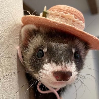 consent2k's profile picture. the one#him