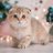 ドリームキャッチャーのアイコン