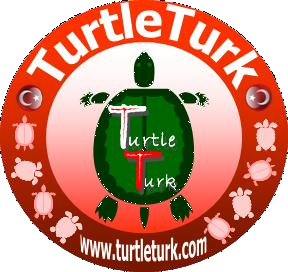 TurtleTurkCom's profile picture. Kaplumbağa Dünyasının Türkiye'deki Adresi!
http://t.co/kZiC4J7y36 (Facebook Grup)