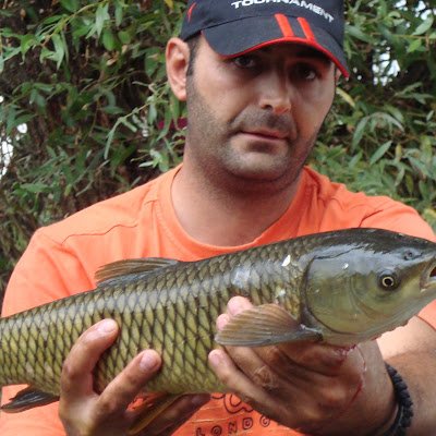 BankovZdravko's profile picture. 