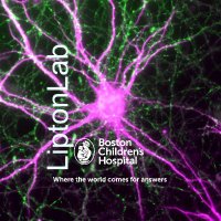 LiptonLab (@lipton_lab) 's Twitter Profile Photo LiptonLab (@lipton_lab) 's Twitter Profile Photo