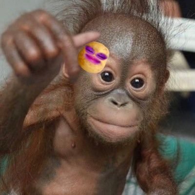 나ㅜ너무 바빠,,싀앙/ 저 볼거없고 인용만 디지게 합니다...영양가 없는말 만 합니다,, / ᑭp합니다 /
