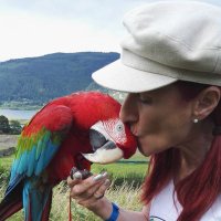 Fiona Taylor (@fionata31818979) 's Twitter Profile