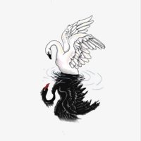 SwaN🦢👑 (@noobody686) 's Twitter Profile