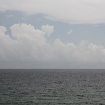 ru98498613's profile picture. 