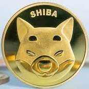Shiba Inu (@mohammadnematii) 's Twitter Profile