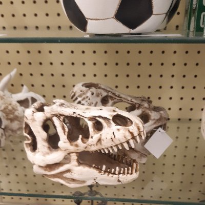 IsaacEs09022909's profile picture. 