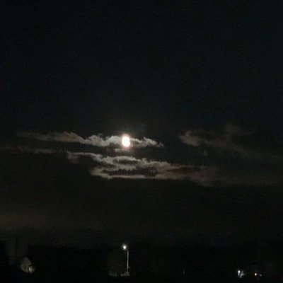 Nathan_1520_'s profile picture. Hello