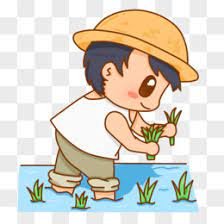 SoLivemore's profile picture. 互关，秒回！