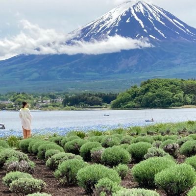 おうちごはん 一汁三菜が理想の食卓 出来る範囲で作っています🥢男子高校生お弁当🍱徳島ヴォルティス ヴォルタくん⚽️ファンモンファンキー加藤さん🎤