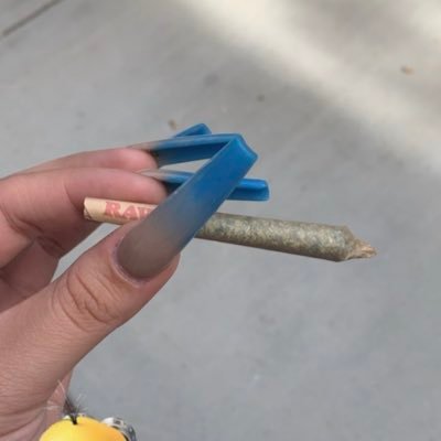 necrotombss's profile picture. 💋